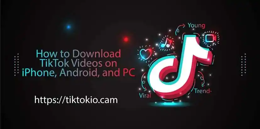 TikTok Ads