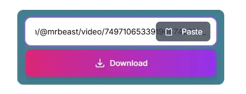 Step 2: Paste the link