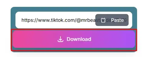 Step 3: Download video